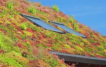 Gipsy Row living roof systems