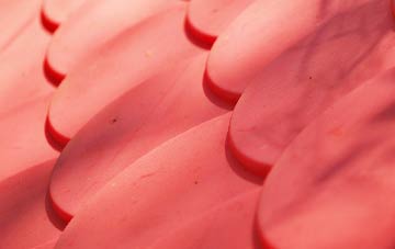 Gipsy Row plastic roof costs